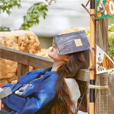 摩斯拉决战哥斯拉